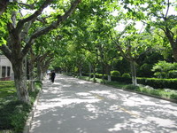 国产自拍高清图片